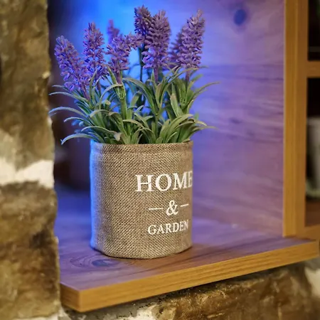 Πανσιόν Archontiko Theofanous Τρίκαλα